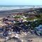 El Parche de Basura del Pacífico Norte alberga extrañas criaturas que aprendieron a vivir entre desechos (VIDEO)