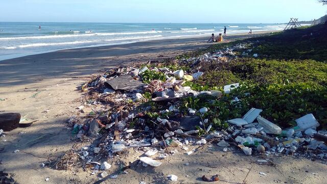 El Parche de Basura del Pacífico Norte alberga extrañas criaturas que aprendieron a vivir entre desechos (VIDEO)