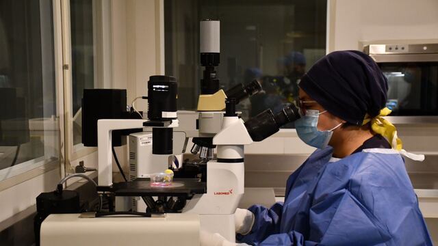 Análisis de Klebsiella Oxytoca en el Edomex
