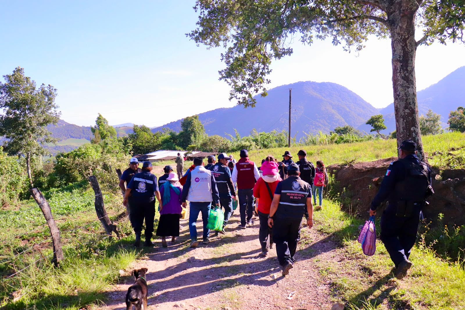 Segob informa que desplazados de Guerrero regresan a sus hogares tras acciones de seguridad
