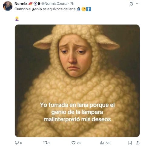Memes del genio malinterpretó mi deseo