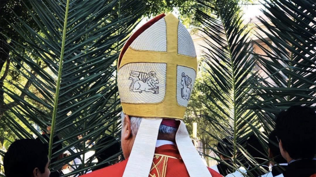 Sacerdotes y pruebas Covid-19