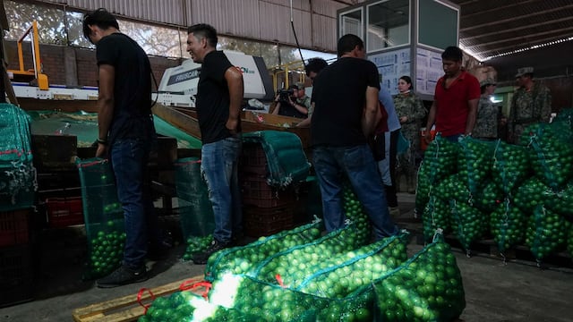 Plan Michoacán intensifica revisiones en tianguis limoneros