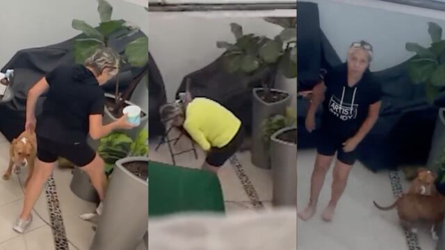 Mujer golpea a perro