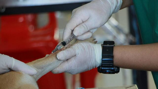 Matan a veterinario de Tultepec