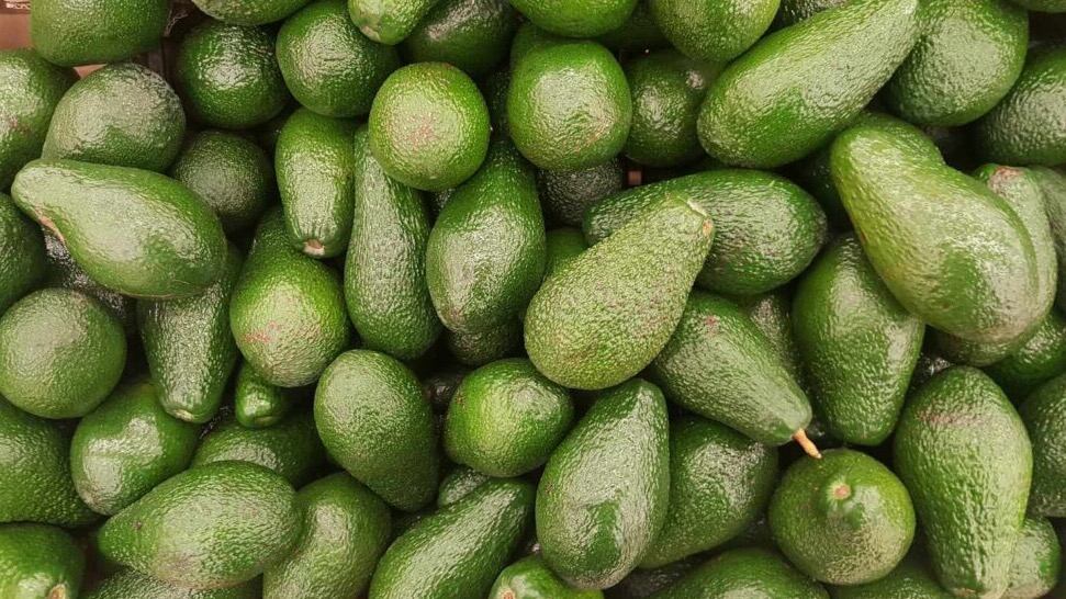 Aguacates