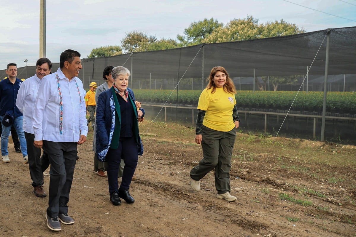 Salomón Jara presenta acciones de reforestación en visita con Alicia Bárcena, titular de Semarnat.