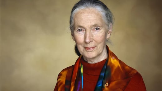 ¿De qué murió Jane Goodall? La causa de su fallecimiento fue revelada
