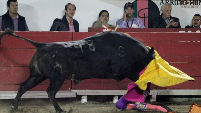 IMÁGENES FUERTES: Toro destroza mandíbula a Hilda Tenorio en Puebla