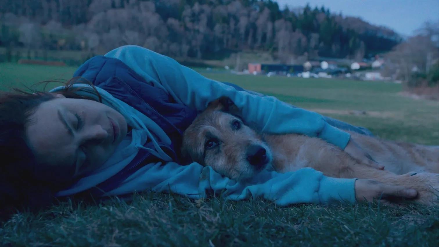 El juicio de un perro, película