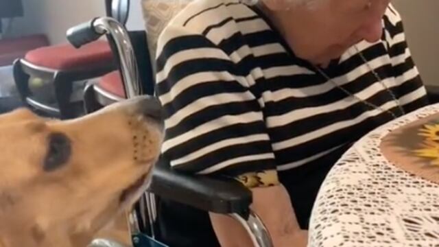 Leia preocupada por su abuelita