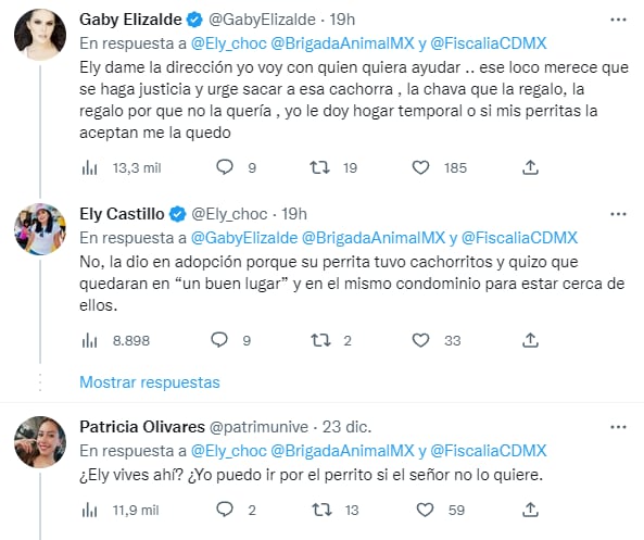 Reacciones al hombre maltratando a cachorra en Venustiano Carranza, CDMX