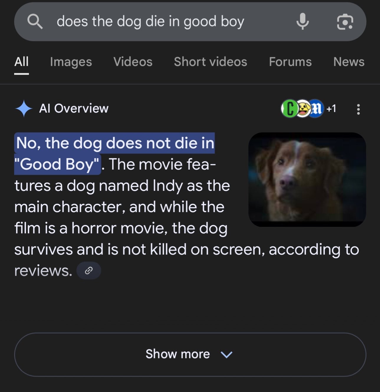 La pregunta de "¿El perro de Good Boy muere?" aumentó en Google
