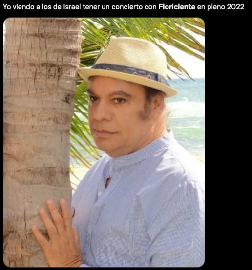 Meme de Floricienta y su regreso a los escenarios.