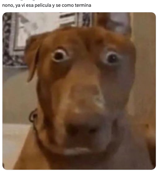 Medicamento contra el Alzheimer provoca memes sobre El Planeta de los Simios