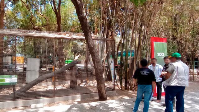 Profepa tomó medidas extremas por la situación de animales en el Zoológico de Culiacán