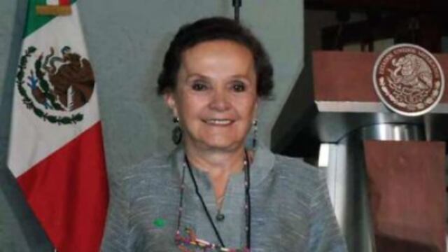 La Asociación en Pro Apoyo a Servidores, A. C. (Aproase), fundada por Alejandra Gil, detenida el miércoles acusada de trata de personas, recibió recursos del Gobierno federal por más de un millón de pesos. Foto/Internet