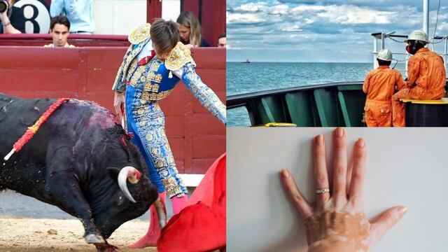 Este 25 de junio es el Día Mundial Antitaurino, el Día de la Gente del Mar y el Día Mundial del Vitiligo