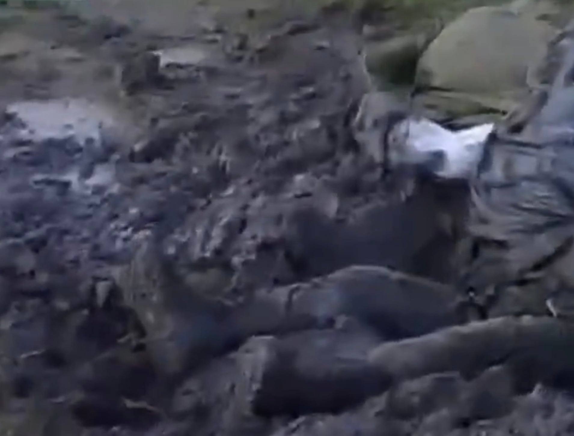 Muere cadete de la Escuela Naval porque no abrió su paracaídas