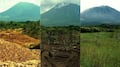 Hace 30 años enterraron miles de toneladas de cáscaras de naranja y el resultado sorprende