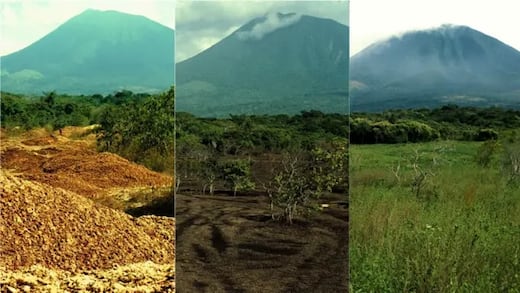 Hace 30 años enterraron miles de toneladas de cáscaras de naranja y el resultado sorprende