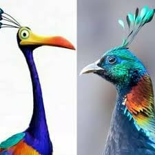 ¿Kevin de Up! es un casuario? Hoy 26 de septiembre celebramos a el ave con apariencia de dinosaurio