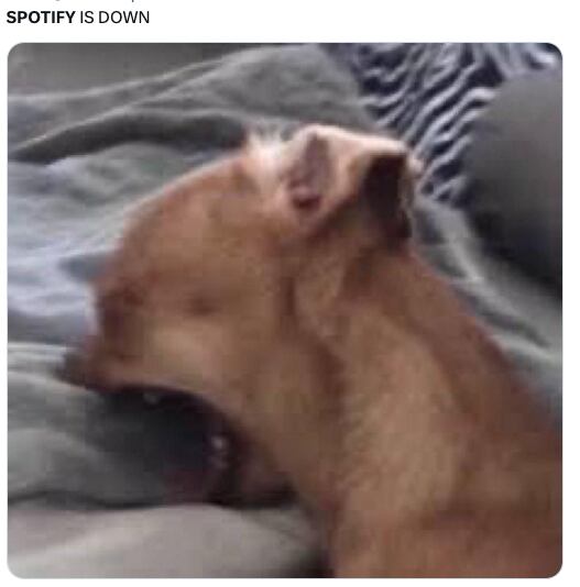 La caída de Spotify provoca memes entre los usuarios