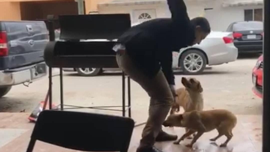 Maltrato animal en Piedras Negras, Coahuila
