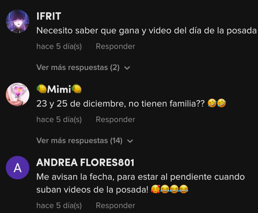 Comentarios Cena de Navidad