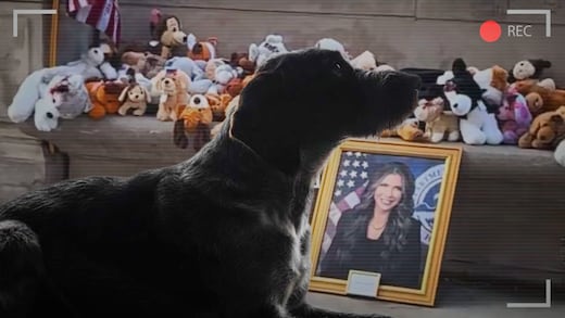 La historia detrás del memorial para el perro de Kristi Noem en Chicago