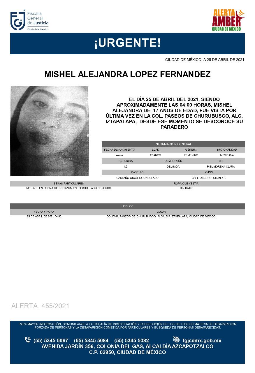 Ficha de búsqueda de Mishel
