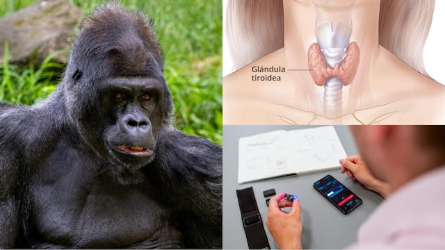 Efemérides del 24 de septiembre