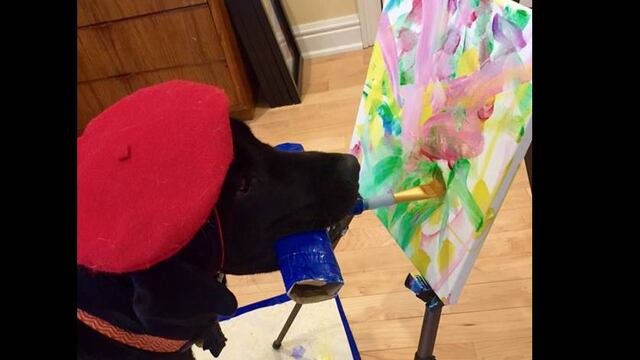 Este labrador encanta con sus trazos.