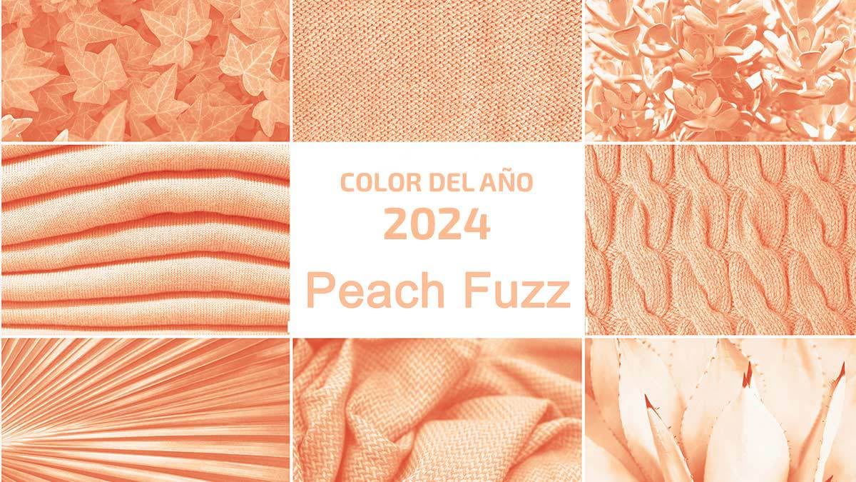 Este es el dulce significado del color del año 2024: Peach Fuzz