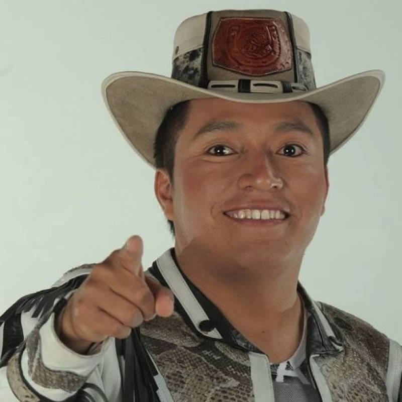 Delfín hasta el fin