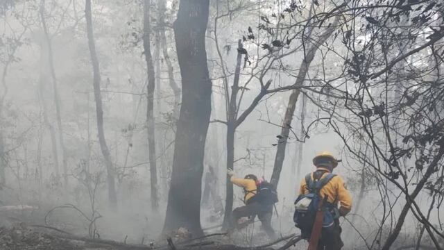 Incendio forestal en Hidalgo, Tamaulipas