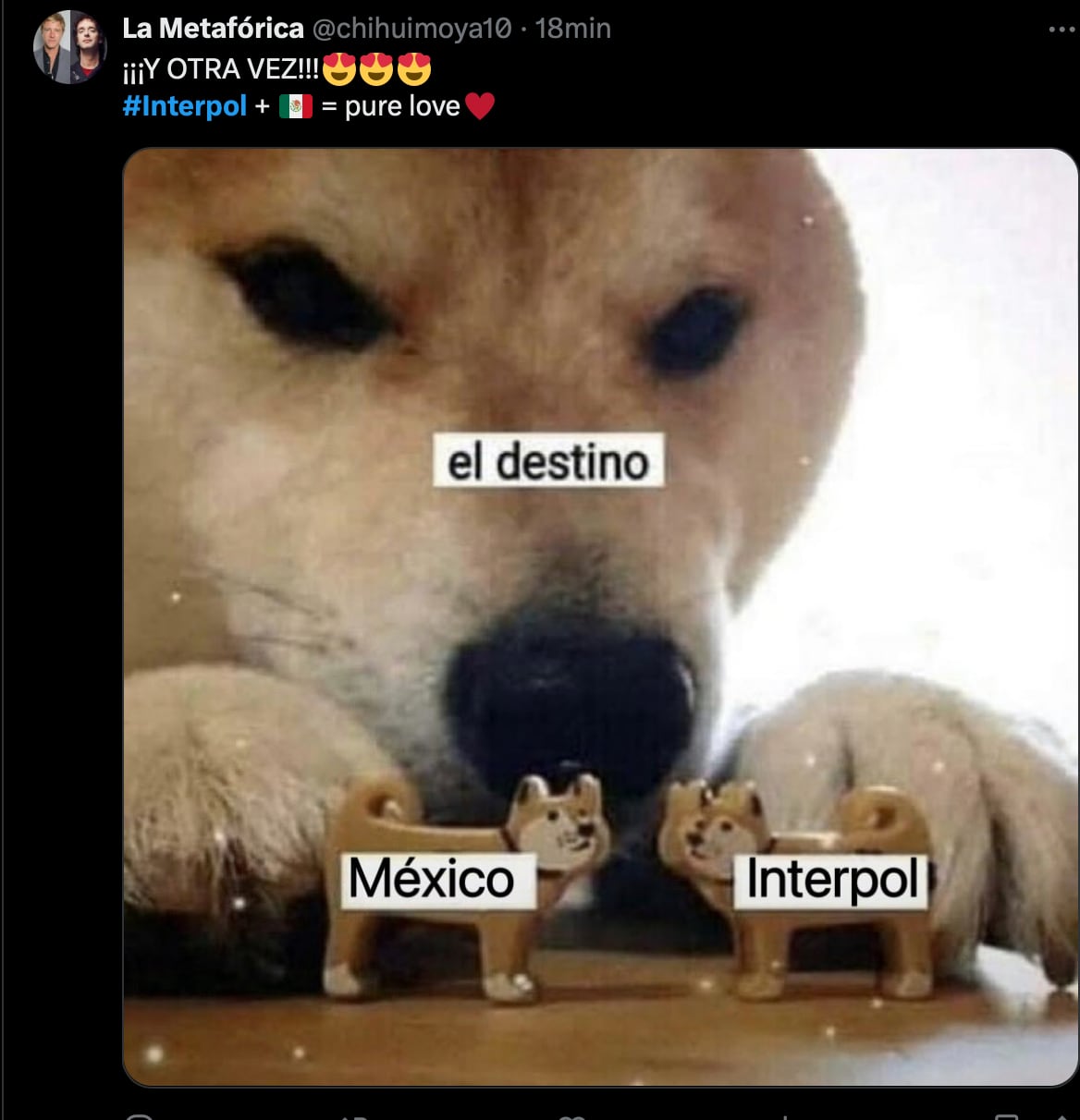 Los memes de Interpol en el Zócalo de la CDMX nos dejan incrédulos porque no es broma