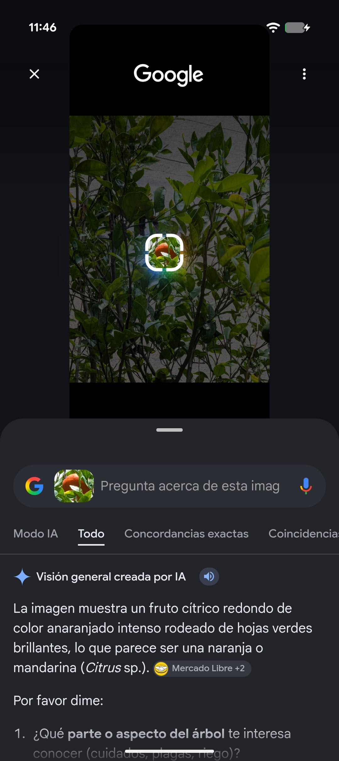 Google Pixel 11