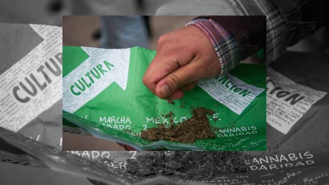 Consuelo Mendoza, presidenta de la Unión Nacional de Padres de Familia, sentenció que “no corresponde a los ministros” decidir sobre un tema “de tal relevancia”.