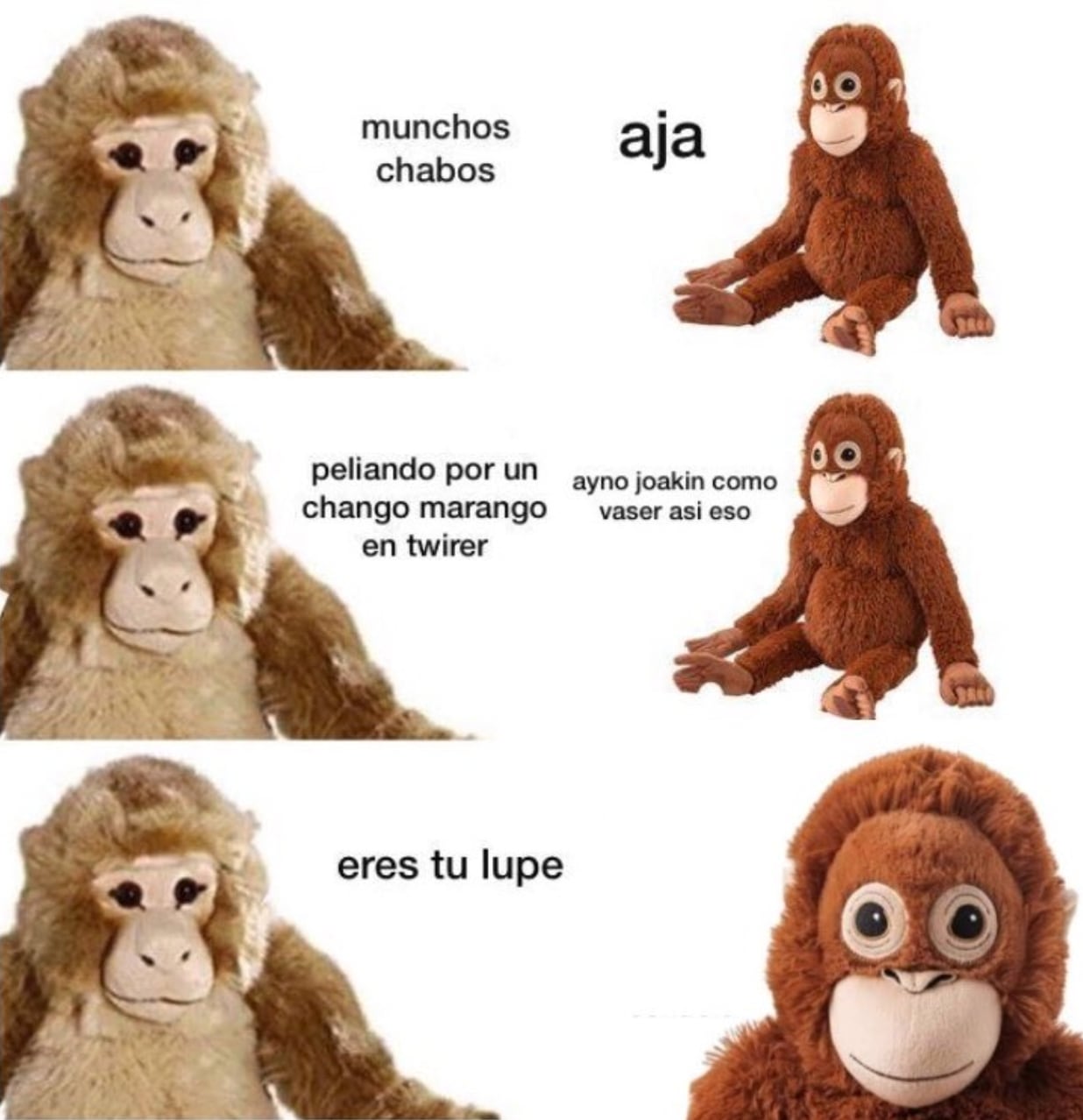 Meme de orangután 'Lupe'