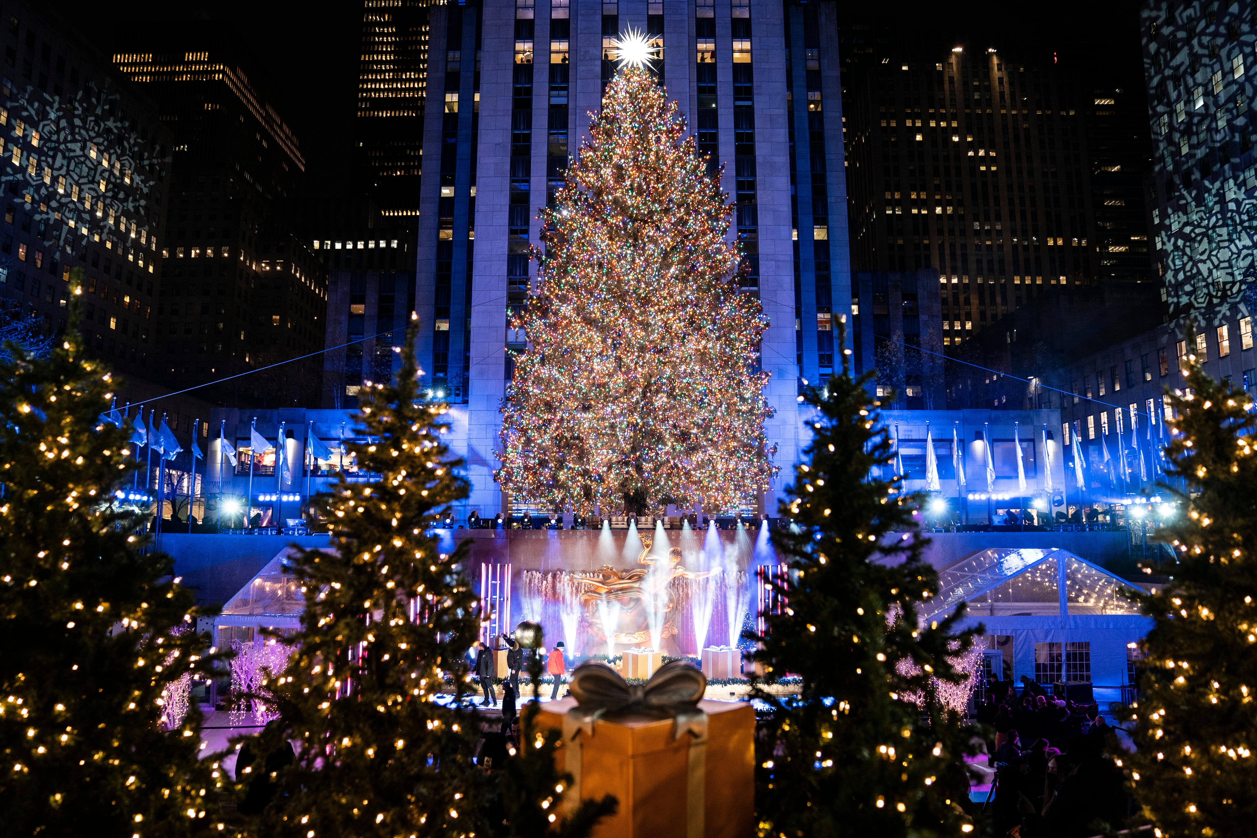 Árbol de navidad