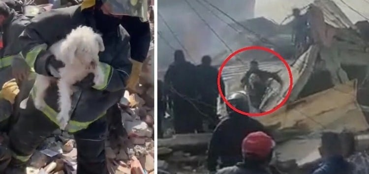 Rescate de perrito tras explosión en la Pensil