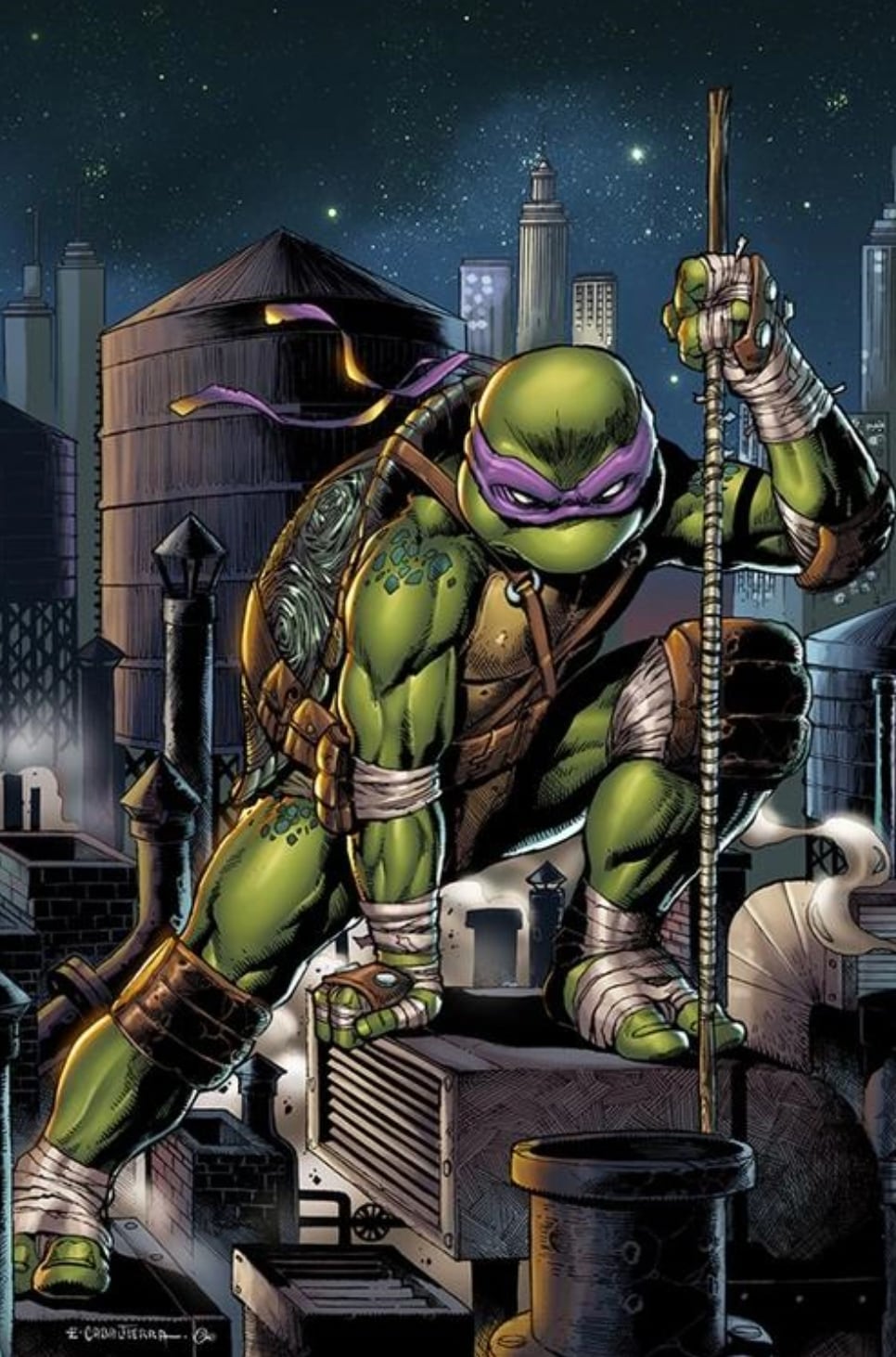 Donatello de las Tortugas Ninja