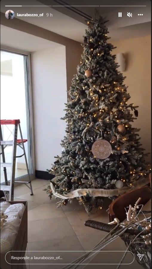 Laura Bozzo presume su árbol de Navidad