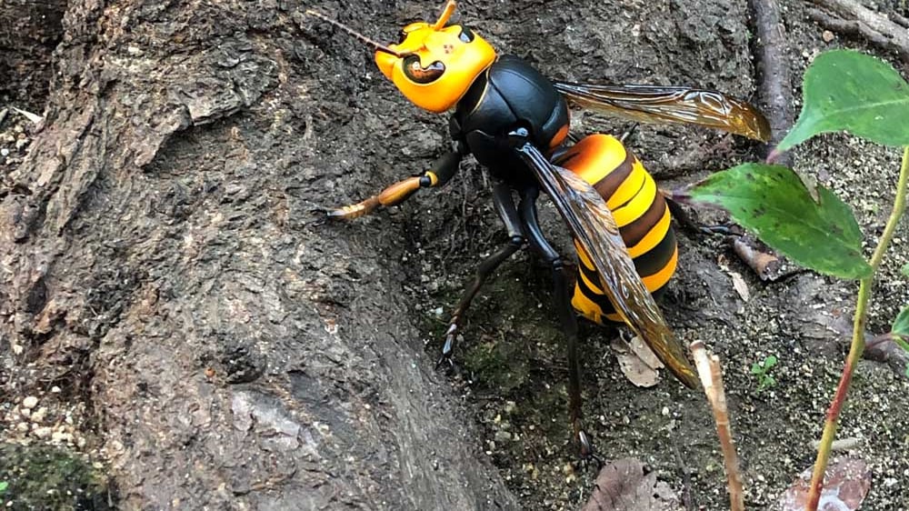 VIDEO: La "avispa asesina" ya tiene su aterradora figura coleccionable