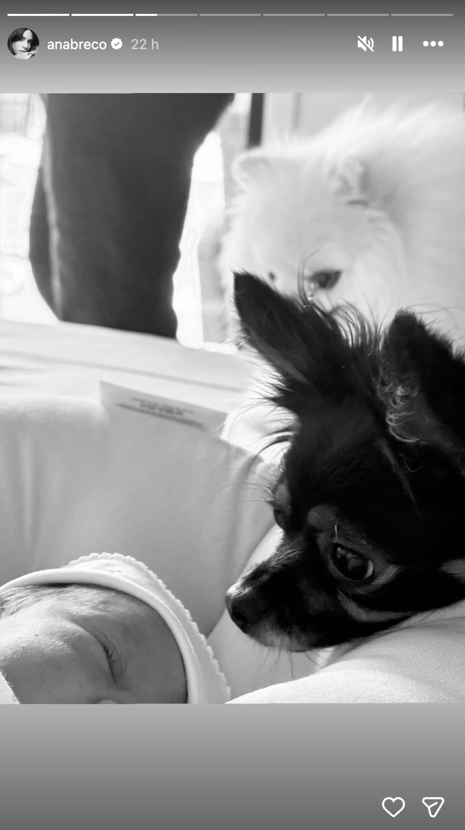 Ana Brenda Contreras