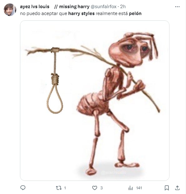 Memes por Harry Styles pelón