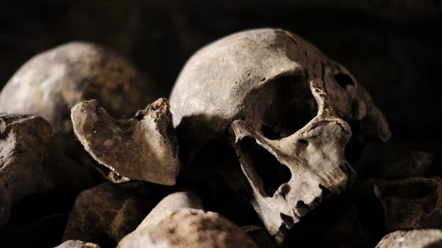 Limpieza de los Santos Restos