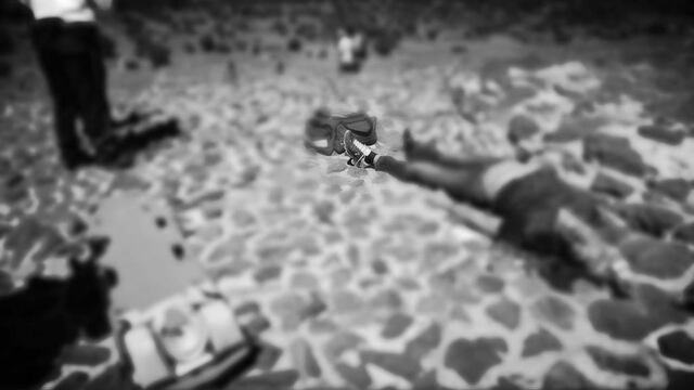 Seiler Eckhard, turista alemán