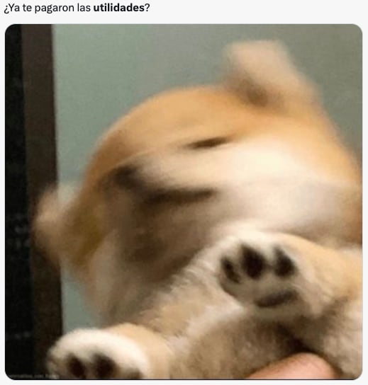 Memes preguntan por el pago de utilidades